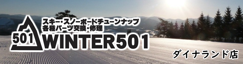 WINTER501